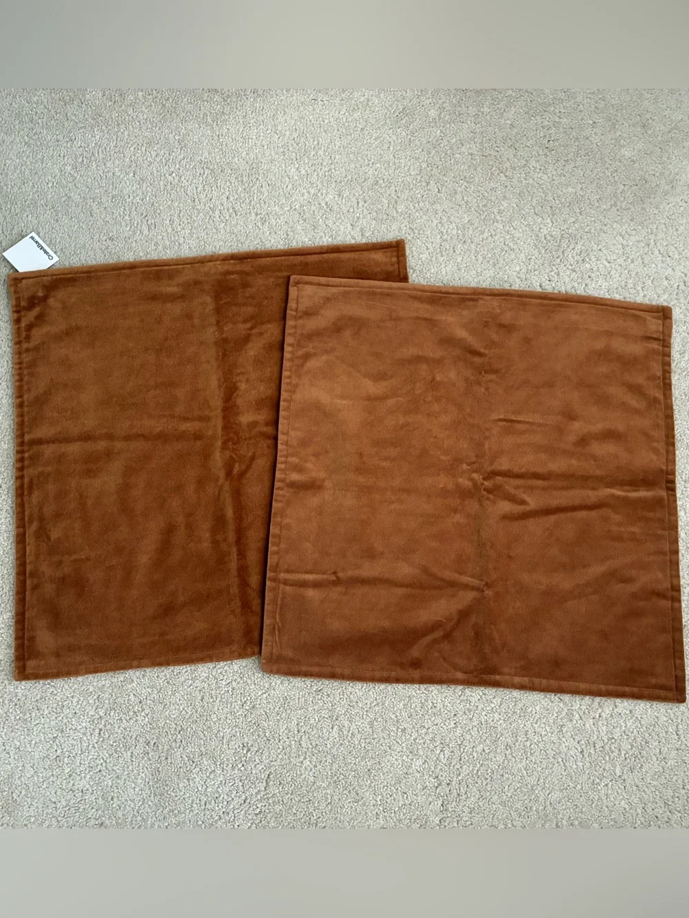 Set 2 Crate&Barrel Velvet Throw Pillows